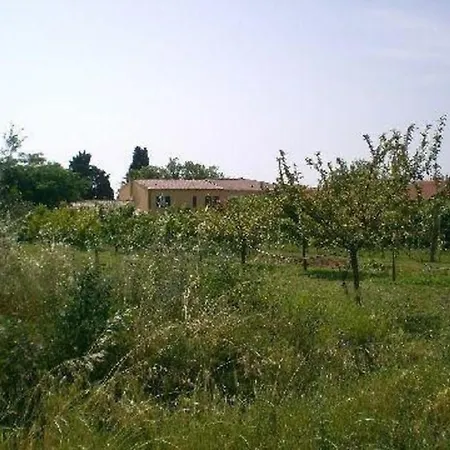 Bilocale Beccaccia Cecina (Livorno)
